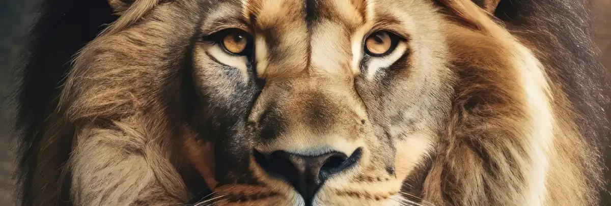 A Gentleman Lion Portrait Wall Art