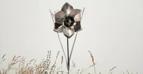Daffodil