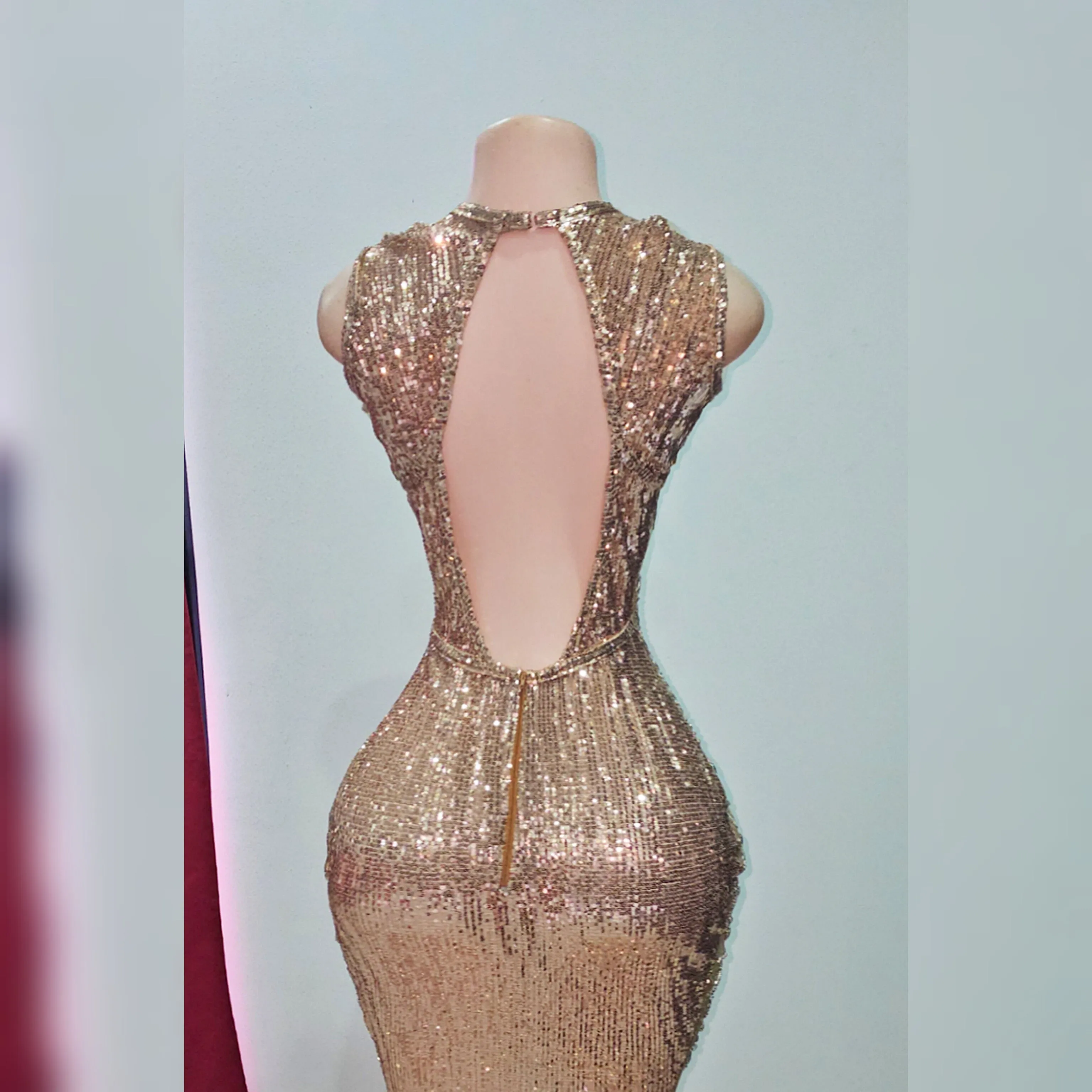 Diamond Fuego Rhinestone Mermaid dress