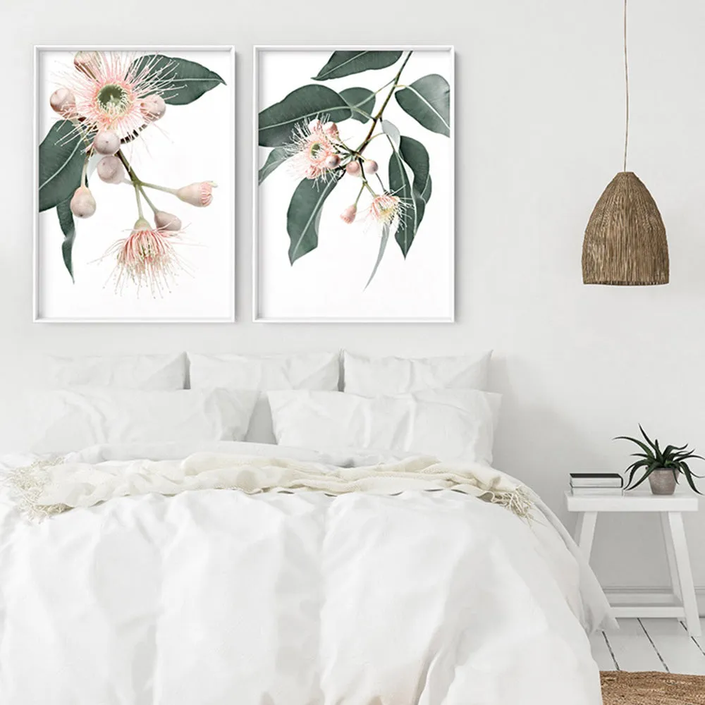 Flowering Eucalyptus in Blush II - Art Print
